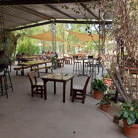 Ondangwa Rest Camp Bed and Breakfast Exteriör bild